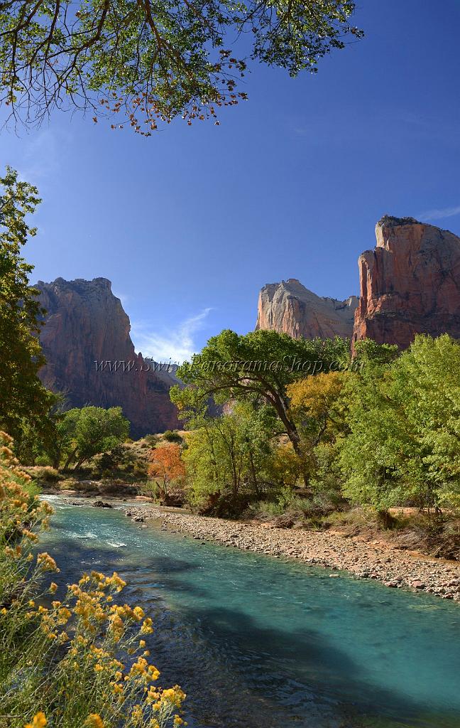10607_12_10_2011_zion_national_park_utah_springdale_floor_valley_scenic_river_canyon_rock_sky_autum_color_tree_panoramic_landscape_photography_panorama_landschaft_51_5071x8010.jpg